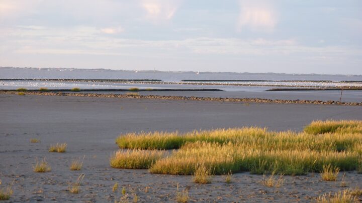 Wattenmeer Norddeich