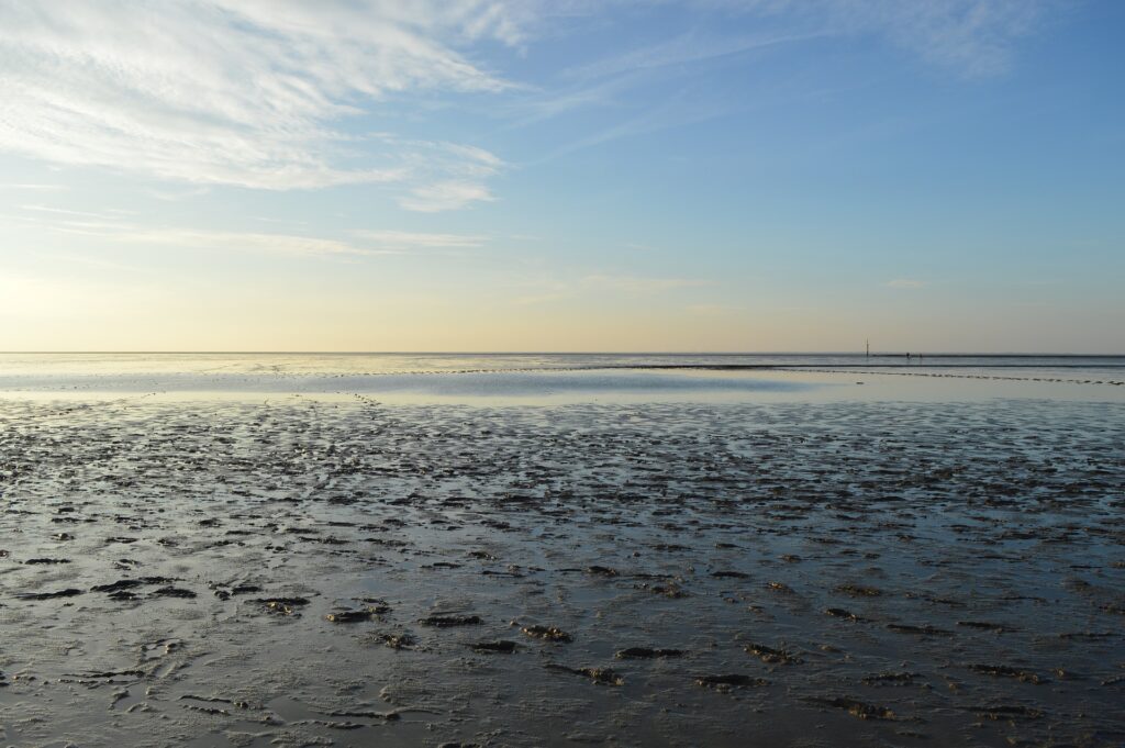 Wattenmeer Norddeich